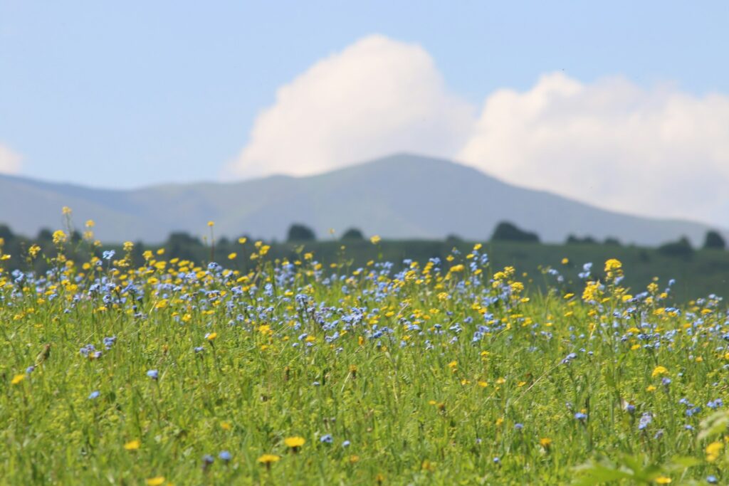 góry